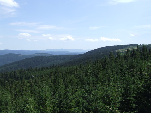 Krajobrazik standardowo