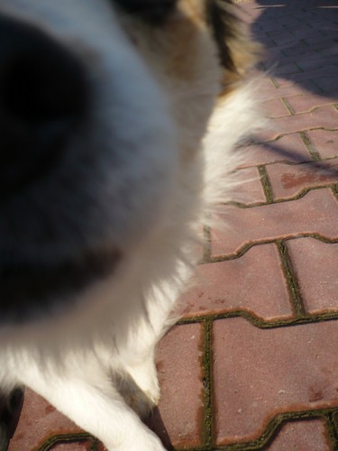 Noseek ;)
