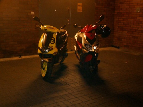 SQuters