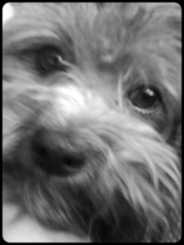 Mj ;*