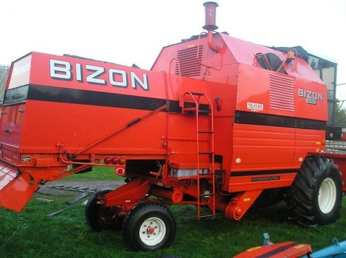 Bizon