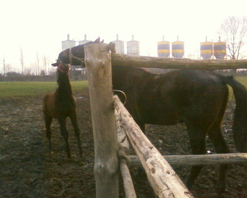 Badzio & Rodrigo ;] 