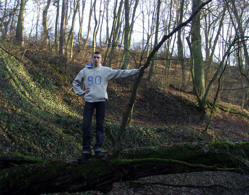 forest