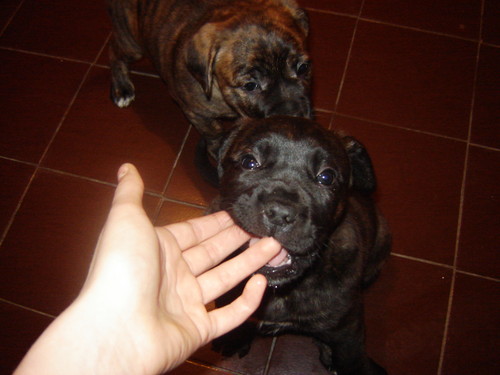 Astra i Astro