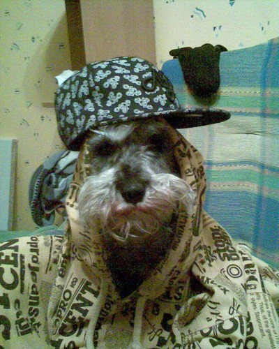 This is my black Pitt Bull 