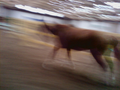 AAAA! Duch konia bez gowy !! ;p