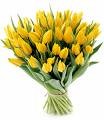 Tulipanki