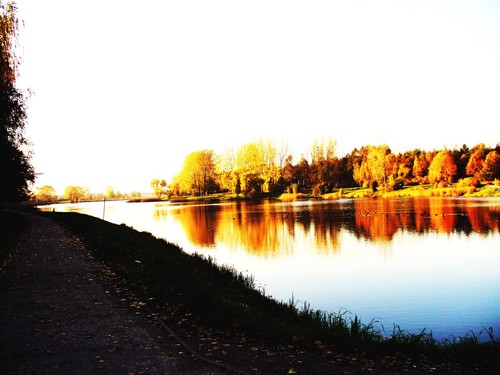 autumn