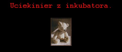 Uciekinier.