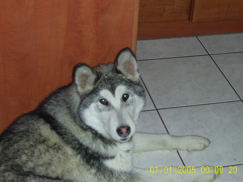 Lila :)