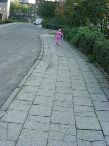kropek.