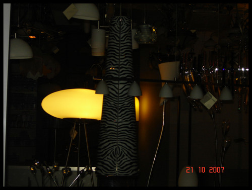 LAMPY