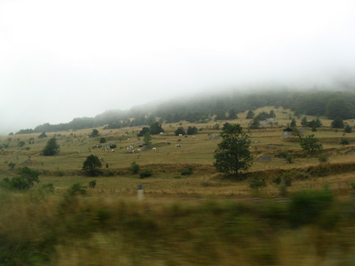 poranek