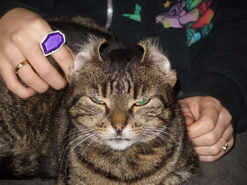 psotka