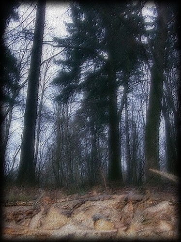 I want to find the secret path..
