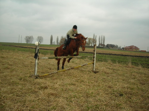 zrzutka