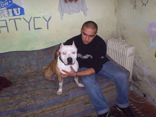 DeXtEr