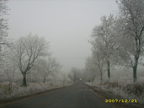 golub-dobrzyn