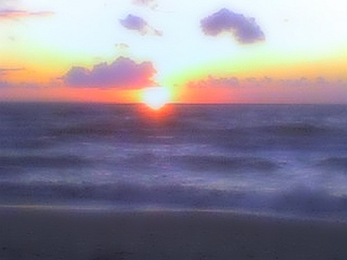 sea dreams...