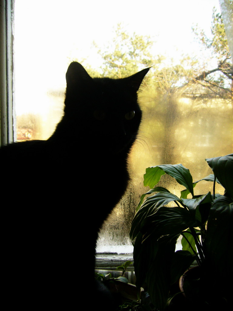 Xena.