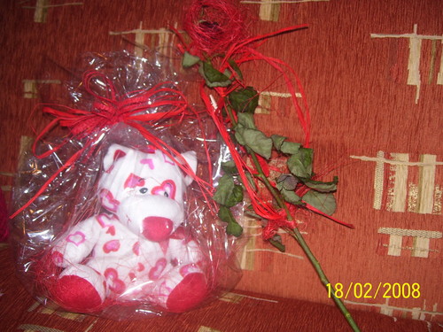 14 Luty :)