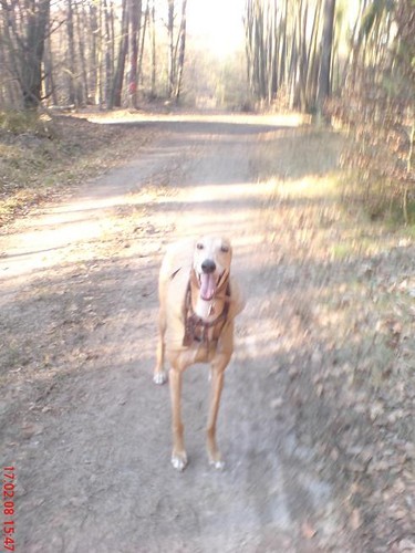 rOooGaL:):):)