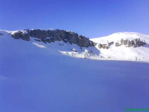 Wochy``