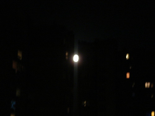 Moonlight