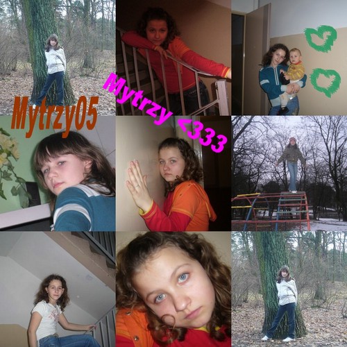 Mytrzy