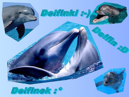 Delfinki :)