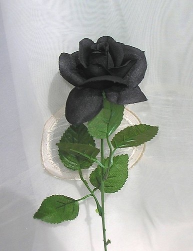 Ryczka 