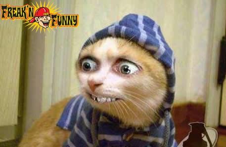 :D XD ^_^
