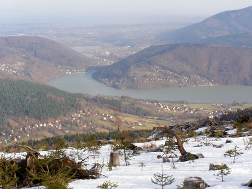 Widoczek