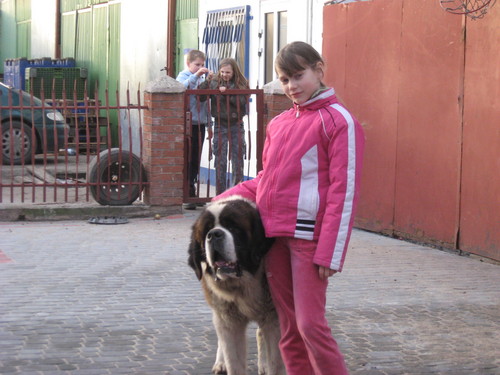 mj piesek:)