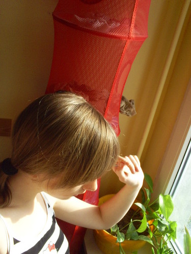 na herbatce u pani O. ^^