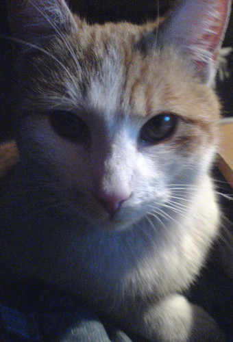 My best friend :)