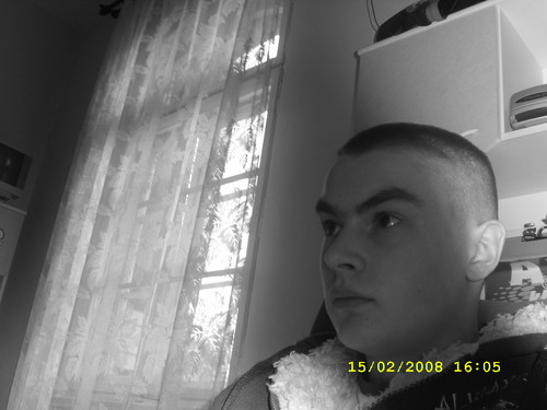 zielik