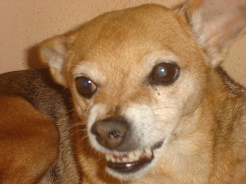 HELOOOOOOOOOOOOOOOO :D..........