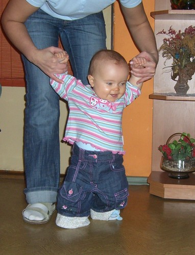 FiBi