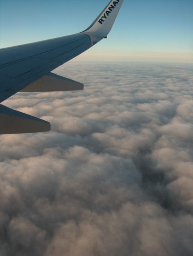 dreaming....