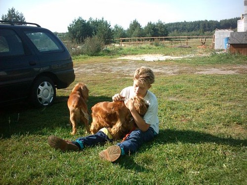 Spanielki..:)