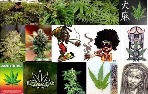 marihuana