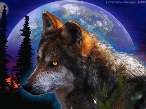 WOLF