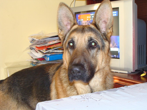Nercio ;**