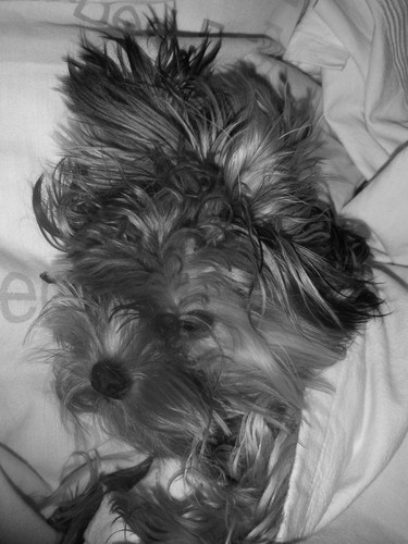 Lusia :)
