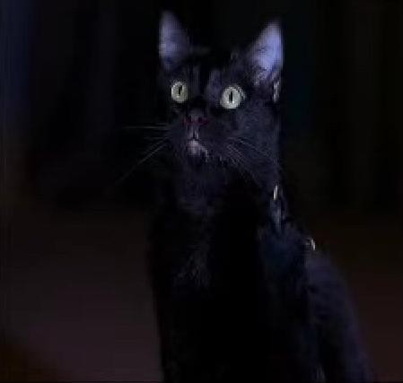 Mrrrraaauu xD :P :P