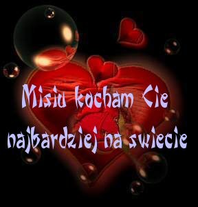 Na zawsze tylko WY=**