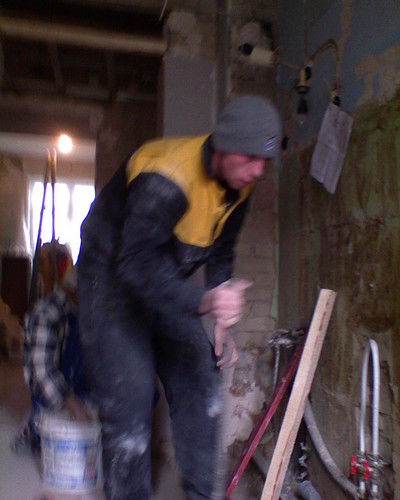 PRACA:D