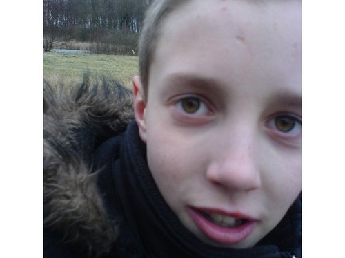 Wies?.