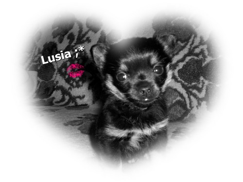 Lusieka